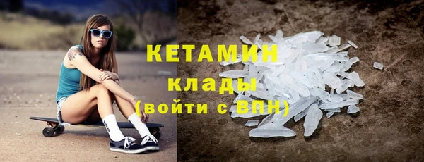 прущие грибы Дедовск