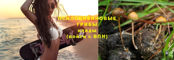 прущие крисы Абдулино