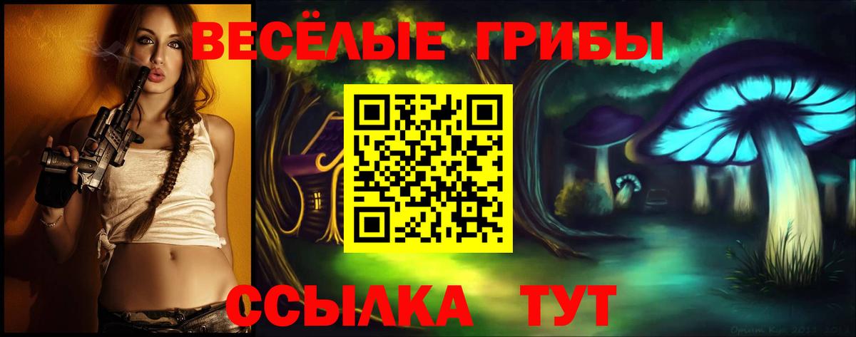 закладка  Вход с VPN  Кизляр  Псилоцибиновые грибы ЛСД 